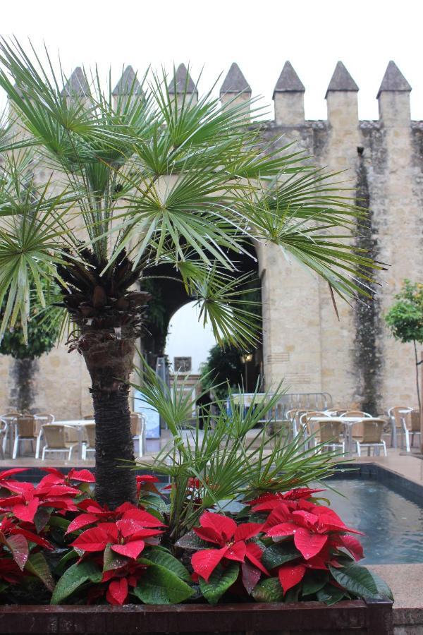 Loft Turistico En Casco Historico, Wifi Y Tv Satelite Gratis Daire Cordoba Dış mekan fotoğraf
