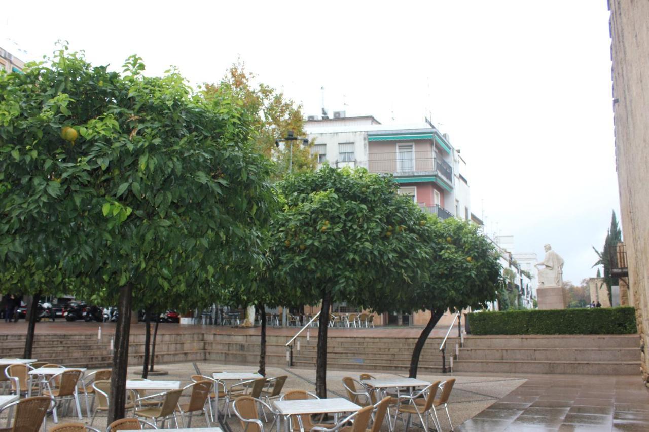 Loft Turistico En Casco Historico, Wifi Y Tv Satelite Gratis Daire Cordoba Dış mekan fotoğraf