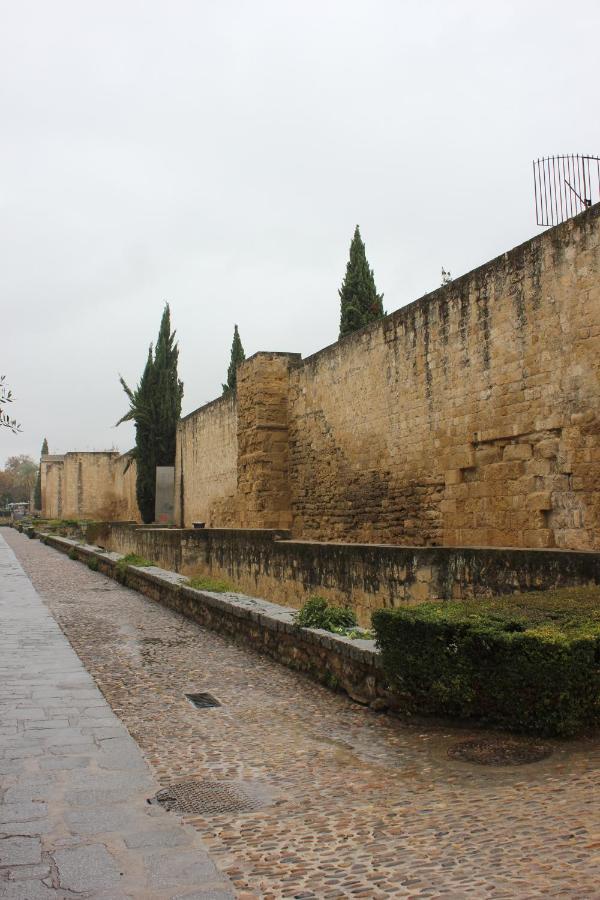Loft Turistico En Casco Historico, Wifi Y Tv Satelite Gratis Daire Cordoba Dış mekan fotoğraf